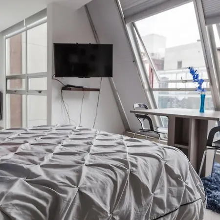 Espectacular Loft En Ph Zona Polanco D Apartment